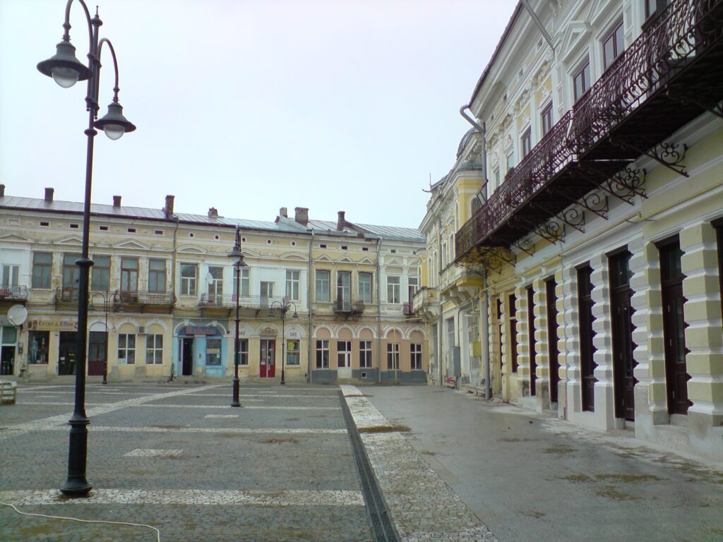 Imagini cu Galeriile de Artă „Ștefan Luchian”