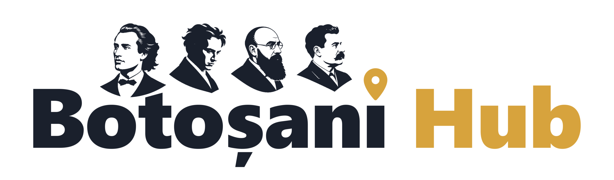 Botoșani Hub