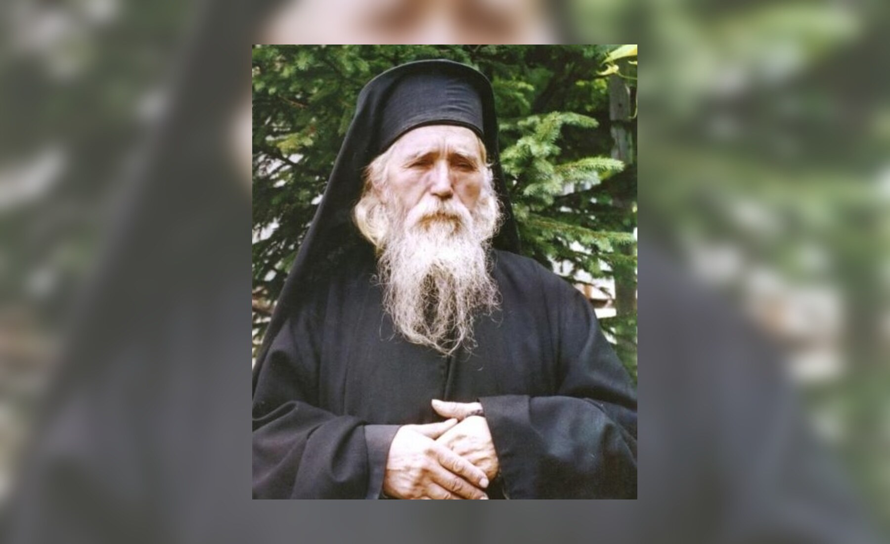 Portret Părintele Cleopa
